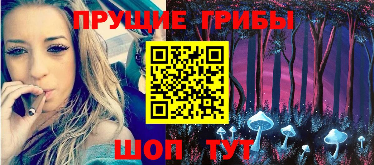 Псилоцибиновые грибы Cubensis Хабаровск